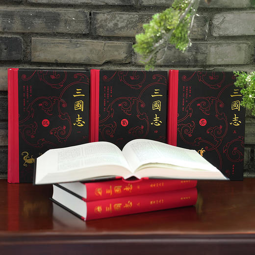 三国志6册 商品图4