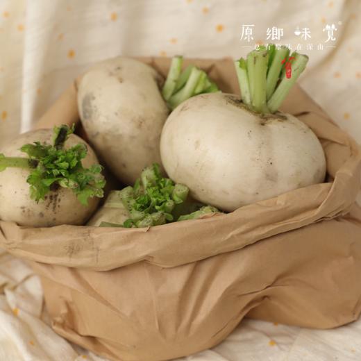 生态萝卜（农场直发-顺丰包邮）| 长萝卜+圆萝卜+紫皮萝卜+红皮萝卜，四种混装，5斤/箱，成都郫都区基地【原乡农场，自产自销】 商品图11
