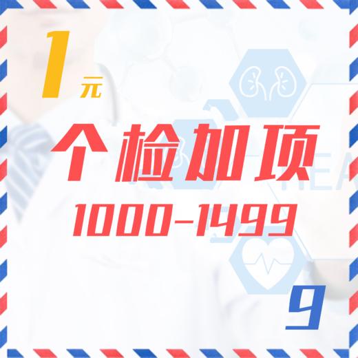 个检加项（1000-1499  9Z） 商品图0