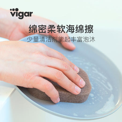 Vigar郁金香花瓶洗碗刷/花系列海绵托 商品图1