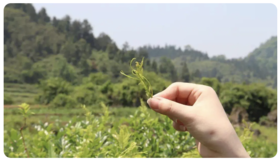 女性最佳“绝经期”已公布，不是45岁，而是这个数，越接近越健康!