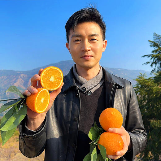 福利活动『江西赣南脐橙』寻乌核心产区，浓甜多汁，芳香脆嫩，现摘现发 商品图3