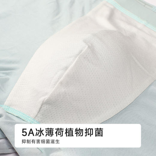 都市丽人人棉平角50S人棉简约基础平角裤FKHB02 商品图8