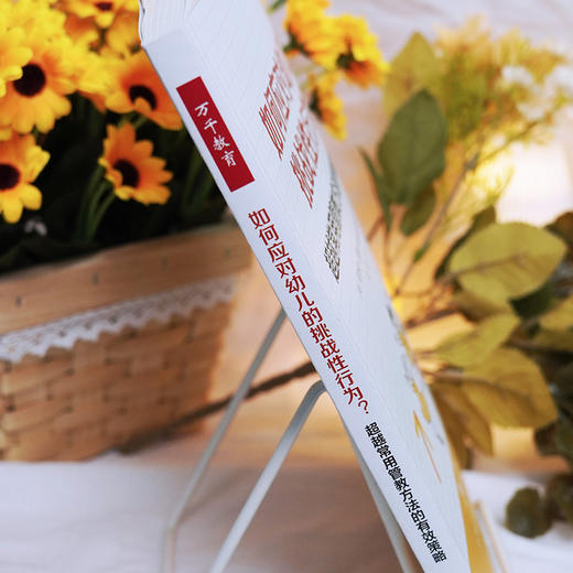 万千教育·如何应对幼儿的挑战性行为？——超越常用管教方法的有效策略 商品图4