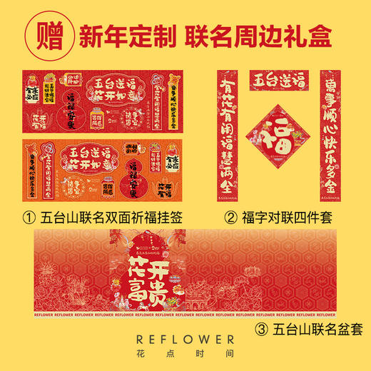 2025年宵花·大花蕙兰3枝花剑 粉色/橙色可选｜新客福利 商品图2