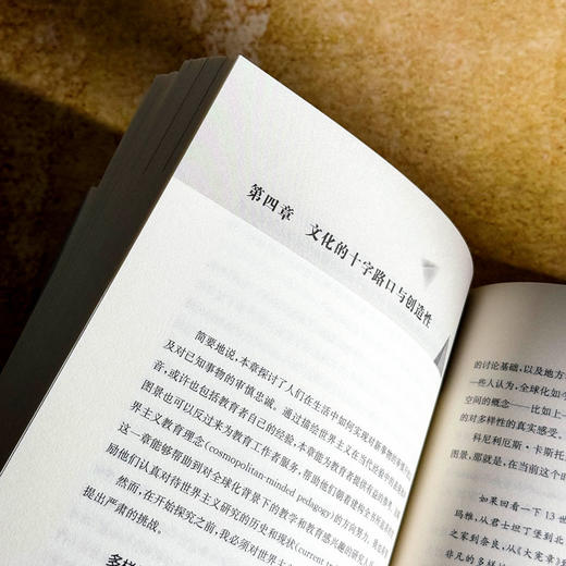 教师与世界 教师教育哲学译丛 王占魁 世界主义教育取向 商品图12