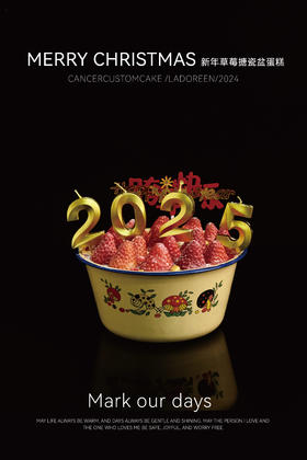 新年搪瓷盆定制（中盆）