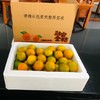 2025季 · 融安金桔🍊 脆蜜金柑→上线啦  金桔类产品中口感顶呱呱 商品缩略图1