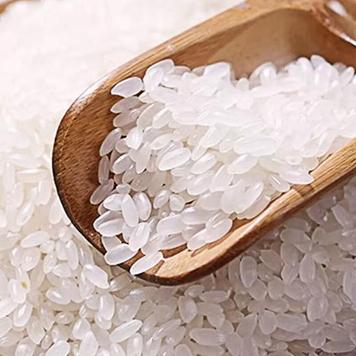 珍粒香_东北长粒香大米1kg 商品图3