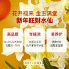 2025年宵花·五台山联名水仙 特大种球3颗，能开百朵花｜新客福利 商品缩略图2