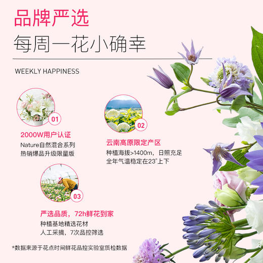 立减50❗️混合Pro¥129.9/包月鲜花   花量翻倍，体量更大【新客福利】 商品图4