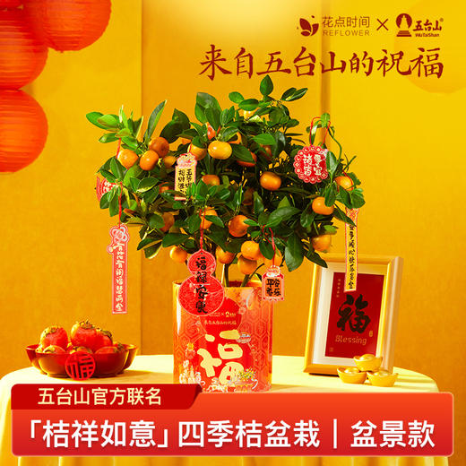 2025年宵花·五台山联名四季桔盆栽 ｜新客福利 商品图0