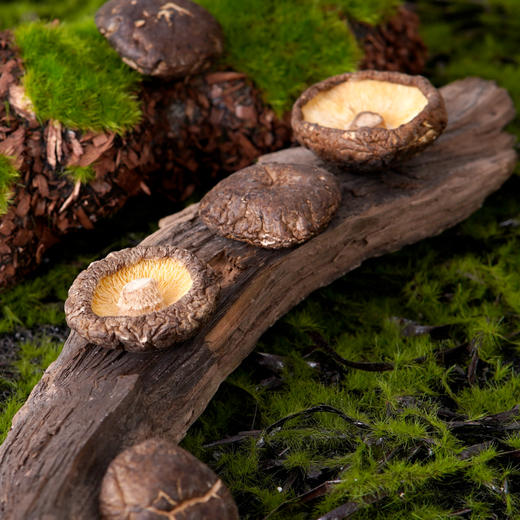 巴山 香菇100g/148g（多规格） 商品图7