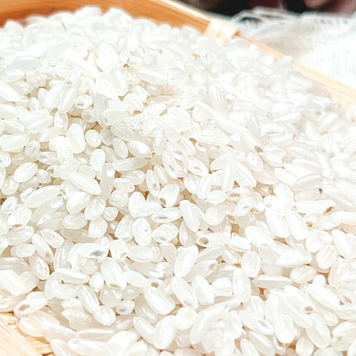 珍粒香_龙凤山五常大米5kg 商品图4