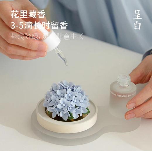 呈白 【绣球花】非遗瓷花香薰礼盒香氛礼物 商品图1