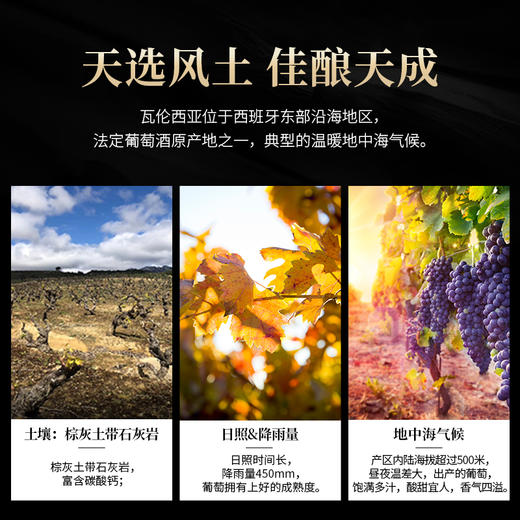 西班牙进口 奥兰金典珍藏V5干红葡萄酒 13度750ml*6 120年稀有老藤葡萄 滴滴精粹 商品图3