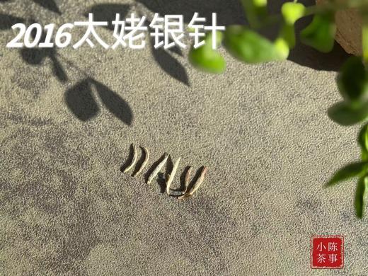 【准9年醇“酿”】2016太姥银针，深藏于岁月深处的那一抹绿雪芽！ 商品图3