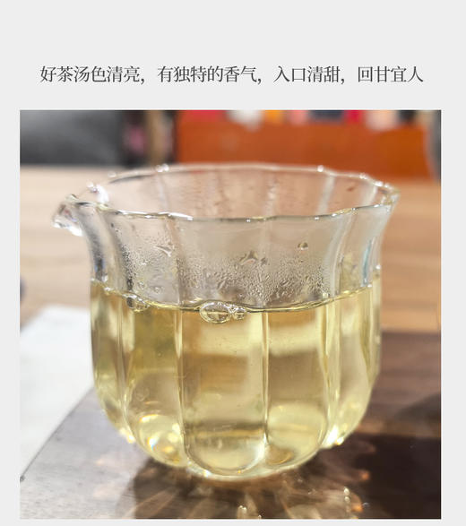 台湾四季春高山乌龙茶 75克 商品图2