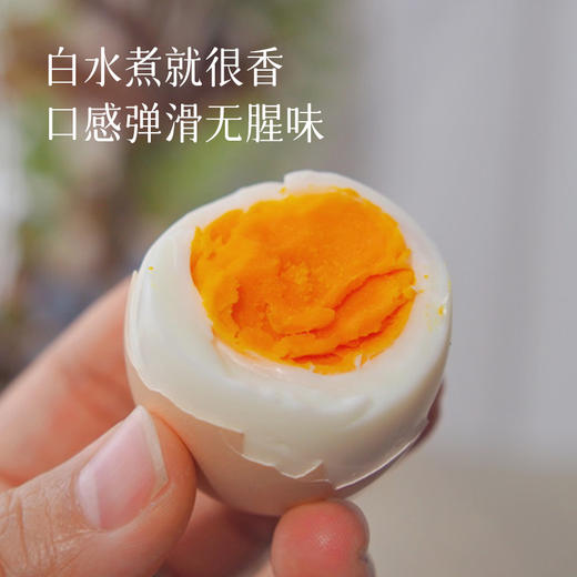 【无抗竹林土鸡蛋】 0激素 安心可溯源鸡蛋，比普通鸡蛋蛋黄更黄、营养更高，一点腥味都没有~ 商品图4