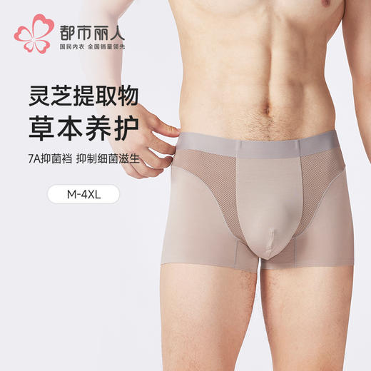 都市丽人莫代尔平角60S莫代尔铂金舒适草本养生系列平角裤FKH401 商品图0