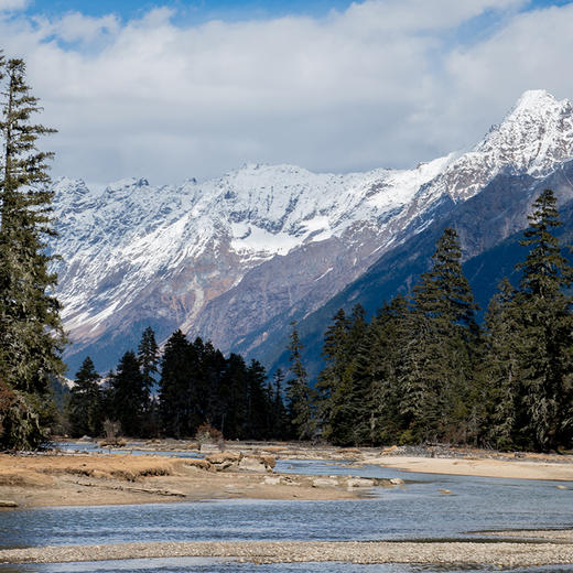 伟大的喜马拉雅·冰韵林芝 | 西藏 拉萨林芝来古冰川·6天5晚【go小团】 商品图4