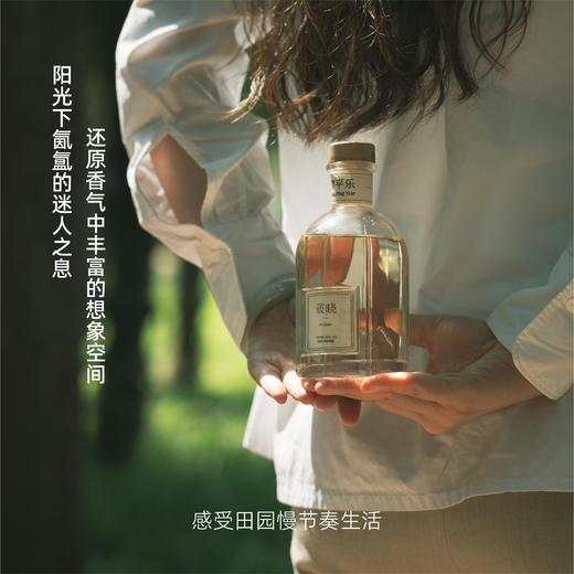 无火香薰丨清平乐系列藤条扩香清新室内持久增香无火香薰生日生日礼物 商品图3