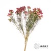 配花 | 新娘花红 商品缩略图2
