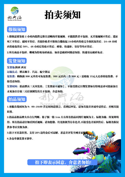 深水格/雀斑鹰 商品图1