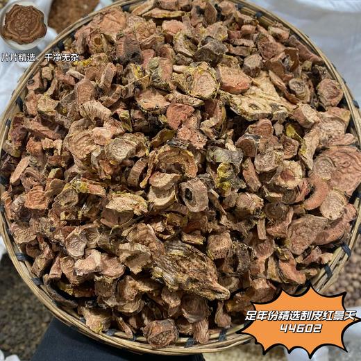 红景天 商品图1