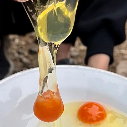 【无抗竹林土鸡蛋】 0激素 安心可溯源鸡蛋，比普通鸡蛋蛋黄更黄、营养更高，一点腥味都没有~ 商品图10