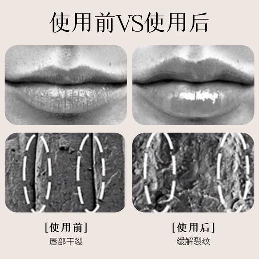 人参精萃保湿润唇膏 草本护肤 商品图1