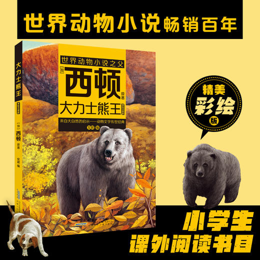 大力士熊王（注音）[加]西顿/ 原著fb安韶编/安徽少年儿童出版社 外国文学/动物小说 商品图0