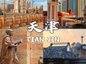 元旦2日【天津跨年】东疆港海边日出•迎接2026年曙光の西伯利亚海鸥-打卡天津网红点