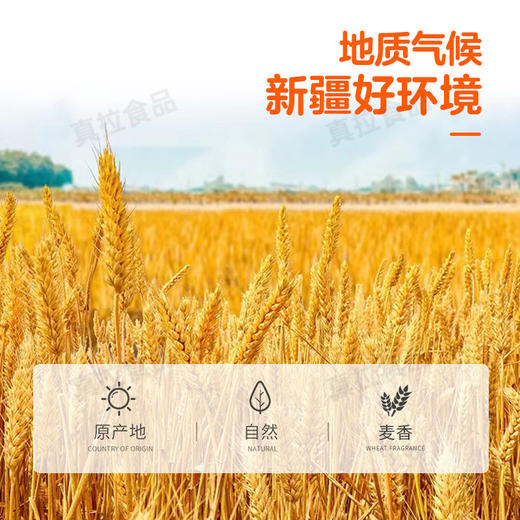 圆把面 商品图2