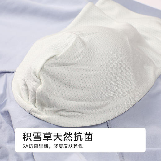 都市丽人棉平角100S长绒棉铂金舒适平角裤FKH402 商品图8