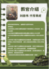 “时刻准备着”辽宁少年军校冬令营 商品缩略图7