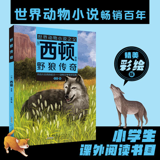 野狼传奇 [加]西顿/ 原著 安韶编/安徽少年儿童出版社fb外国文学/动物小说 商品图0