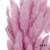 干花 | 兔尾草粉紫 商品缩略图1