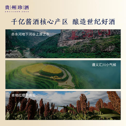 珍酒老珍酒酱香型53度整箱500ml*6瓶 商品图6