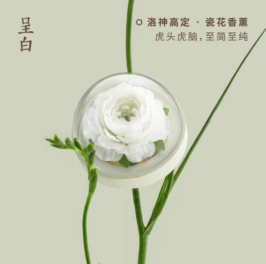 呈白 【茉莉花】非遗瓷花香薰礼盒香氛礼物 商品图0