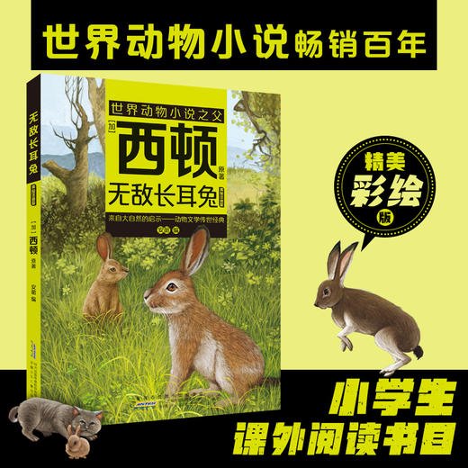 无敌长耳兔（注音）[加]西顿/ 原著fb安韶编/安徽少年儿童出版社 外国文学/动物小说 商品图0