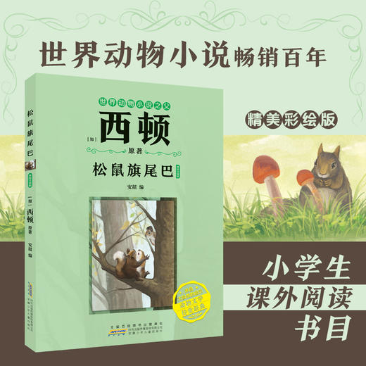 松鼠旗尾巴（注音）[加]西顿/ 原著fb安韶编/安徽少年儿童出版社 外国文学/动物小说 商品图0