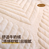 【加厚夹棉真材实料】秋冬奶油风牛奶绒沙发垫 2024新款冬季毛绒软糯厚实防滑坐垫 商品缩略图1