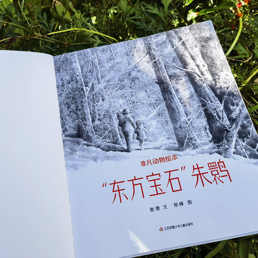 【青葫芦】非凡动物绘本：“东方宝石”朱鹮 生命教育绘本 商品图4