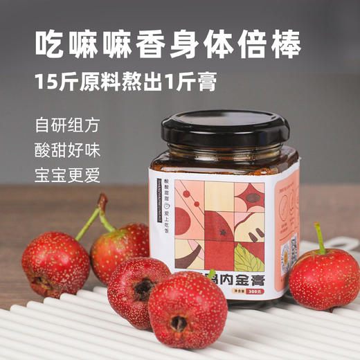 山楂鸡内金膏lc 商品图0