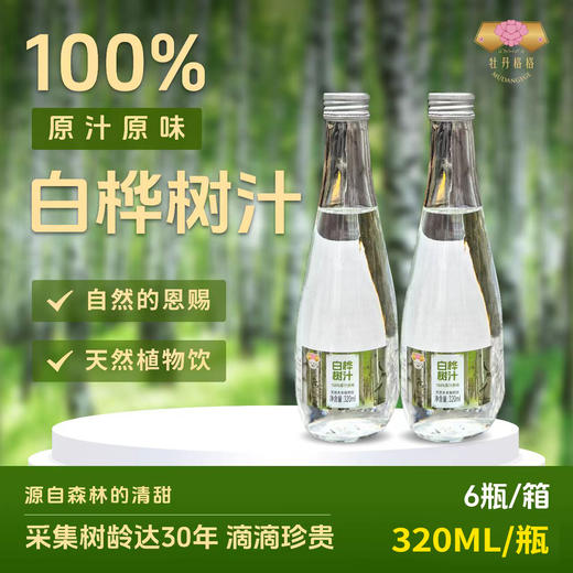 白桦树汁320ml*6瓶 商品图0