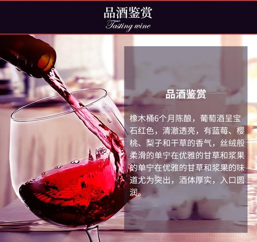 【送礼好物】奥兰传奇佳酿干红葡萄酒（线下A3）13度750ml 西班牙原瓶原装进口 商品图2