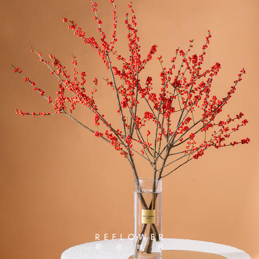 2025年宵花·奥斯特冬青3枝 40cm以上｜新客福利 商品图0