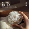 呈白 【白荷花】非遗瓷花香薰礼盒香氛礼物 商品缩略图1
