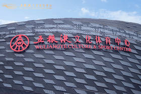 五粮液文化体育中心 2025 年演唱会门票（包厢）*1张